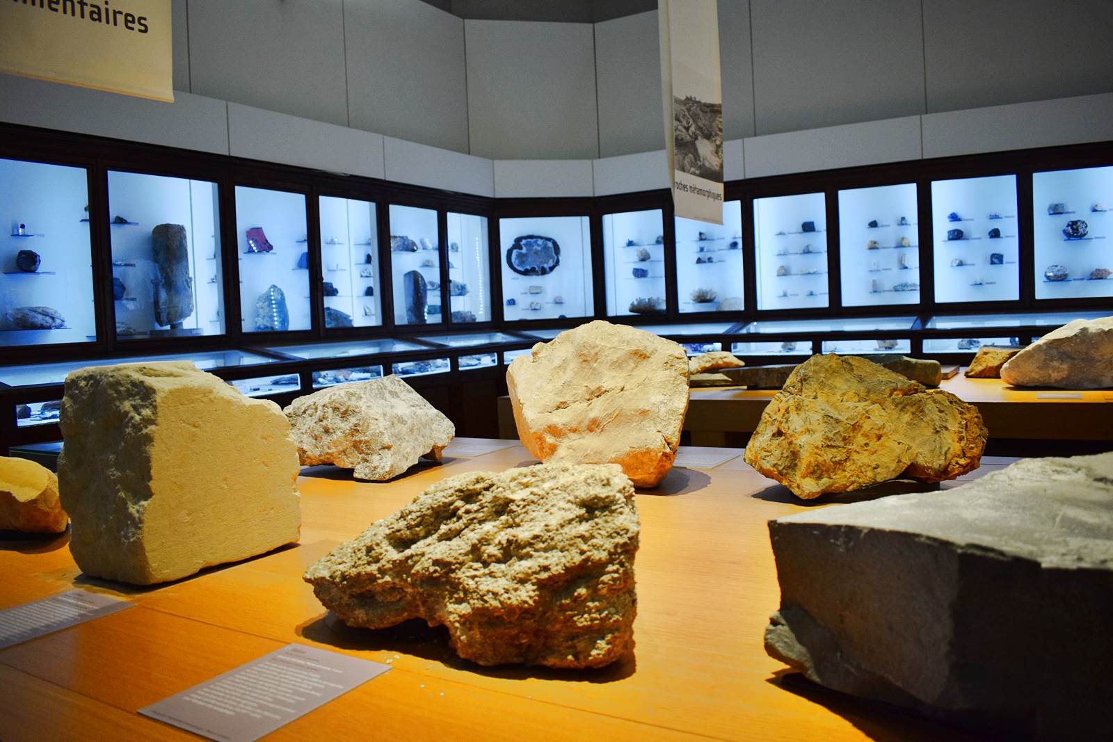 Le museum dhistoire naturelle de nantes